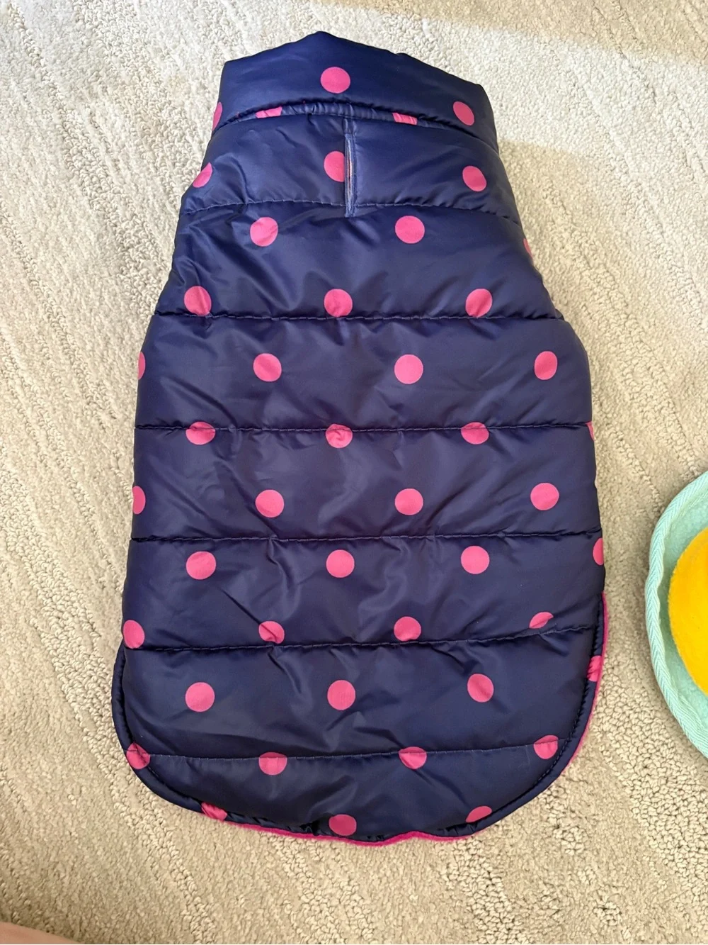 Puppy Accessory Set - Some New, Others Gently Used