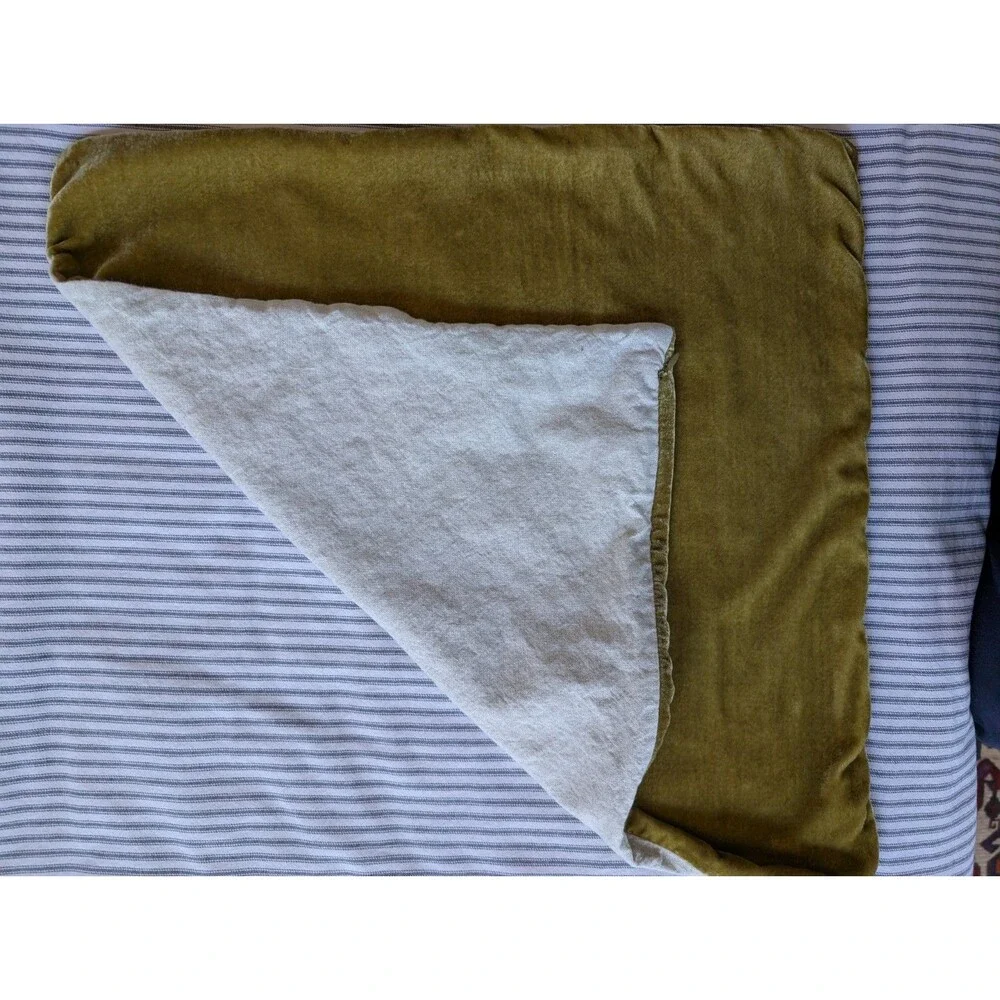 West Elm Velvet Gold Pillow Cover 20x20