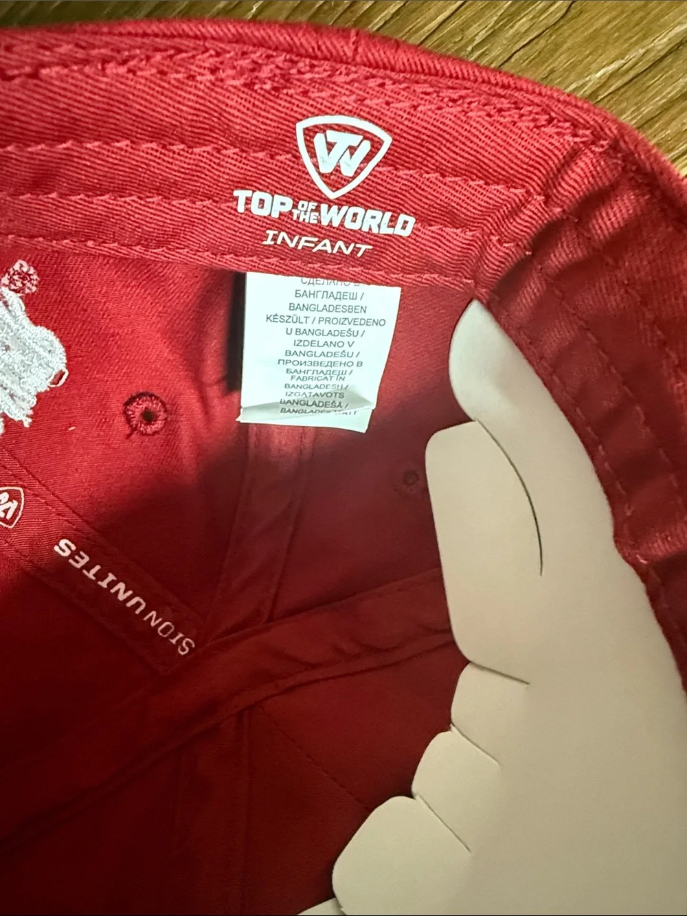 Top of the World infant baseball