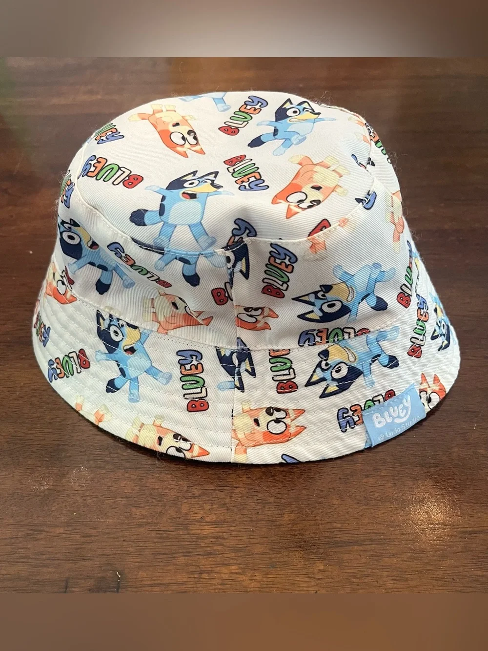 Bluey reversible bucket