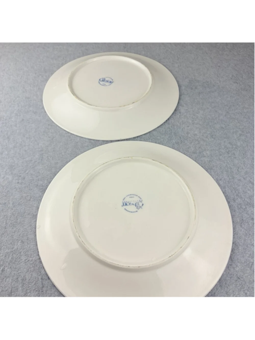 GIBSON Embossed FRUIT Dinner Plates Set of 2 White 10.5” Dishwasher Safe