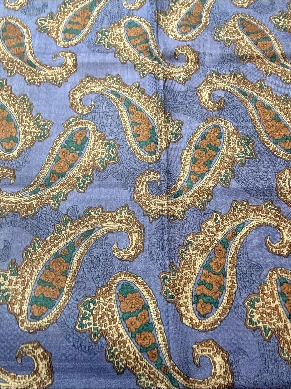 Dior elegant paisley