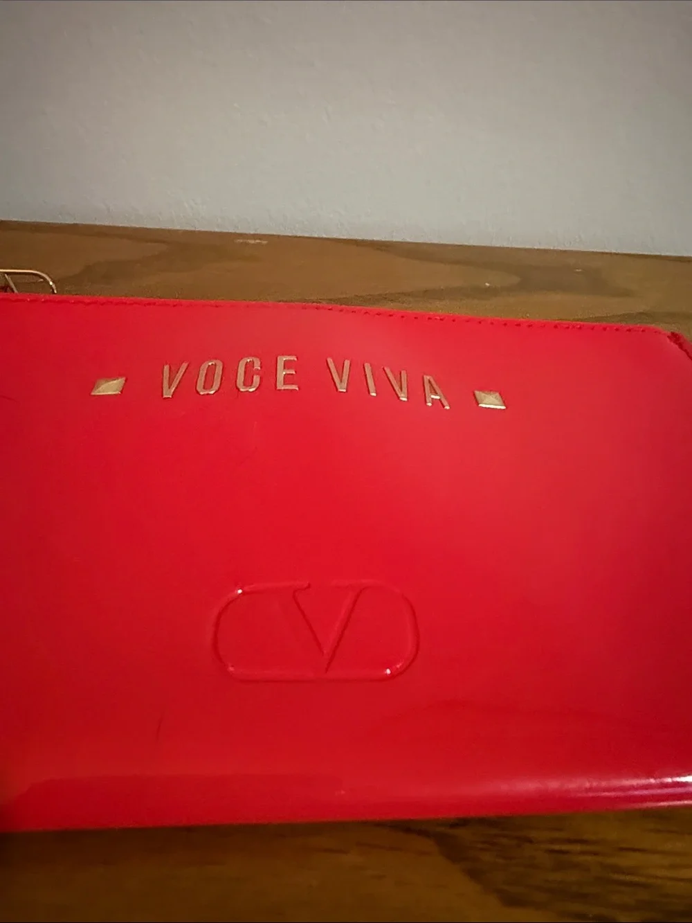 Valentino sleek pouch