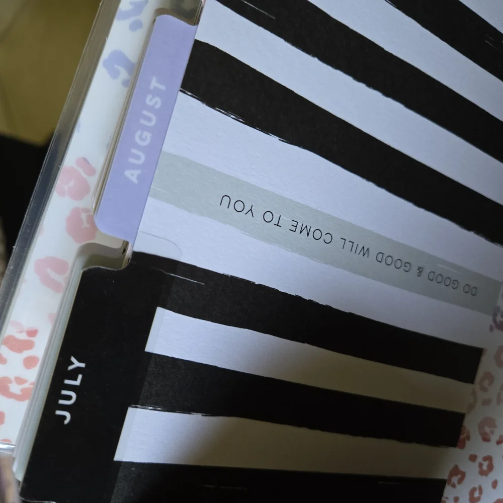The Happy Planner - Multicolor Wild Dreams Planner Monthly Dividers- 18 Months