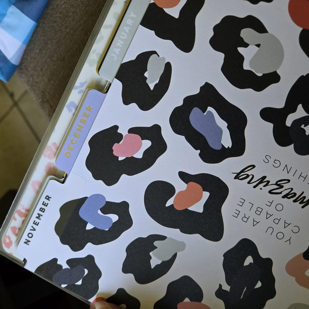 The Happy Planner - Multicolor Wild Dreams Planner Monthly Dividers- 18 Months
