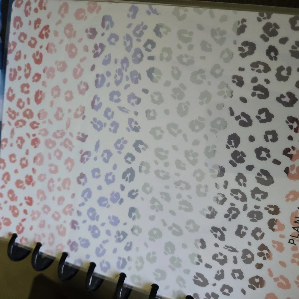 The Happy Planner - Multicolor Wild Dreams Planner Monthly Dividers- 18 Months