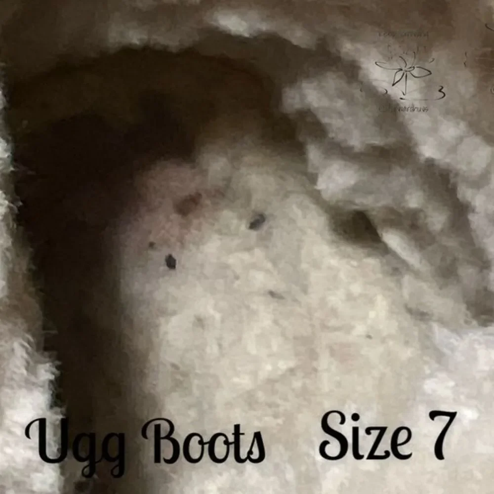 UGG stylish pair