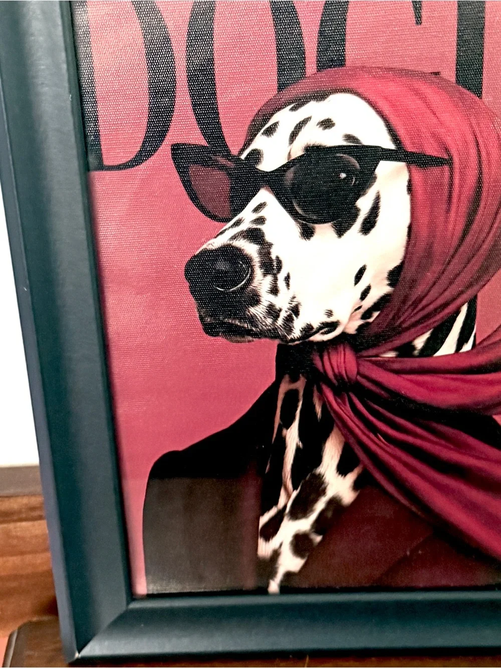 N/A dog vogue