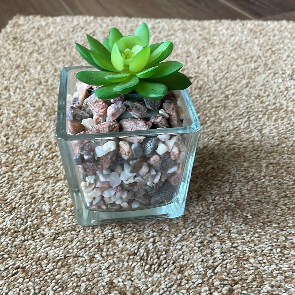 Square Glass faux Succulent