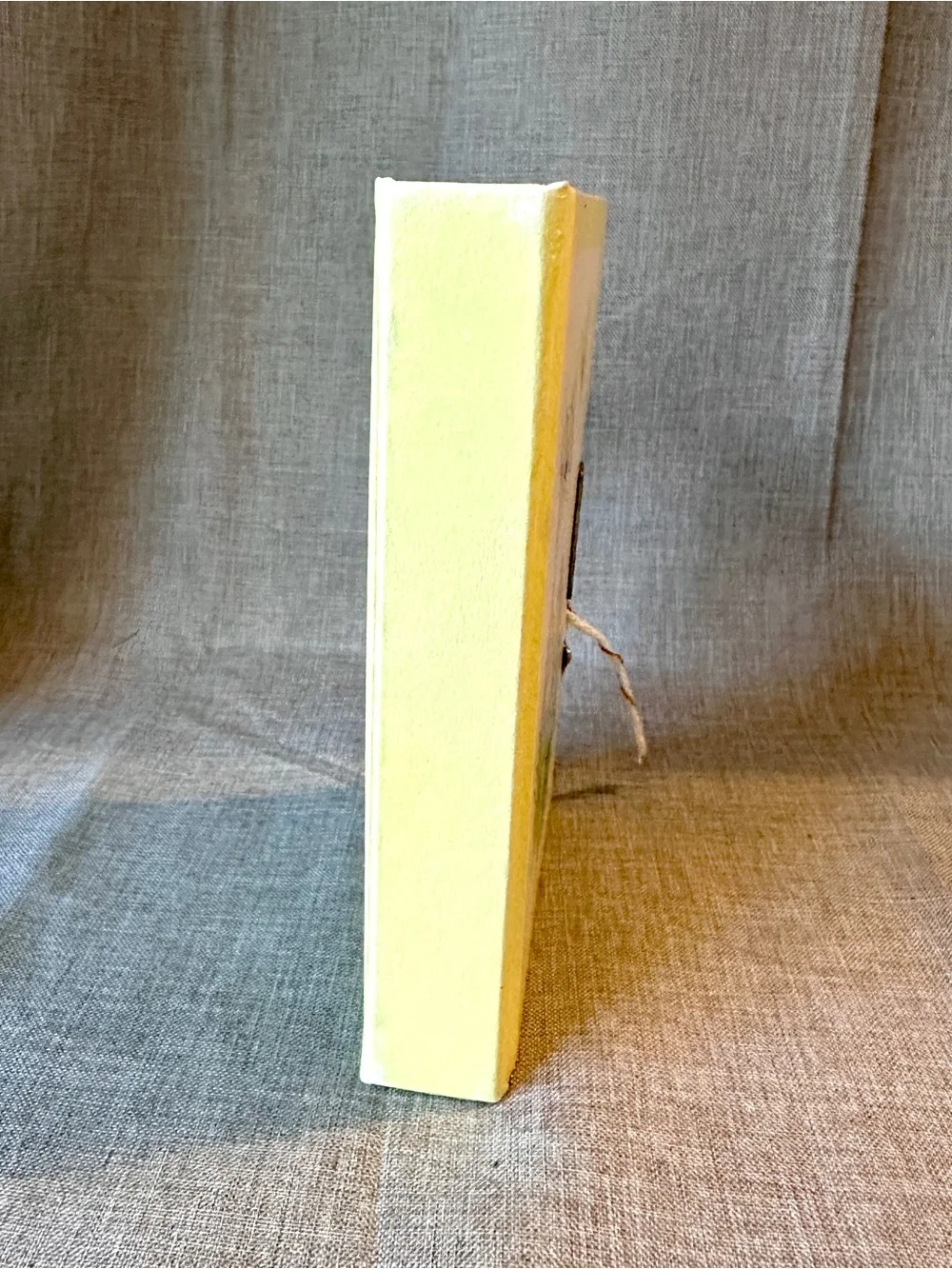 Vintage One Year Diary 1970’s Lock With Key Journal Cottagecore Empty