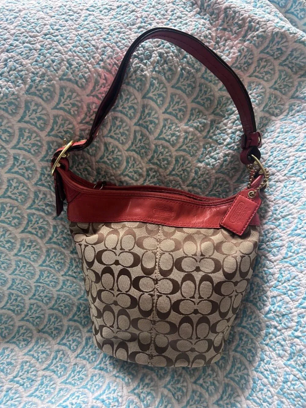 Coach classic signature