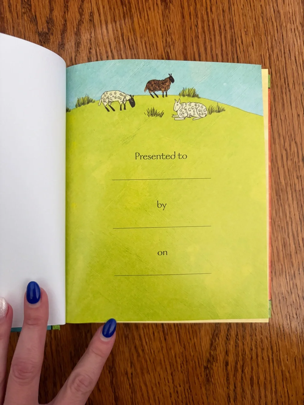 Jesus Storybook Bible