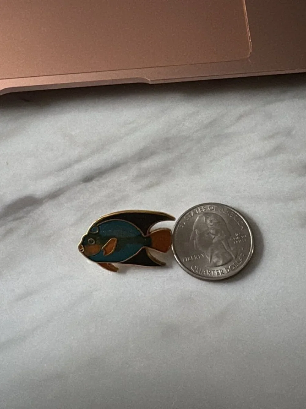 N/A angelfish fish