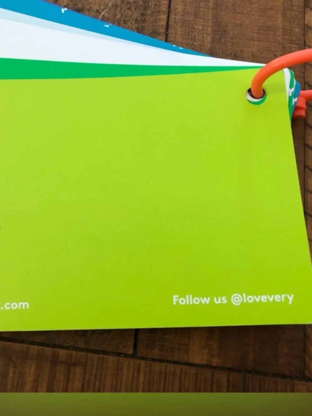 LOVEVERY play pioneer book