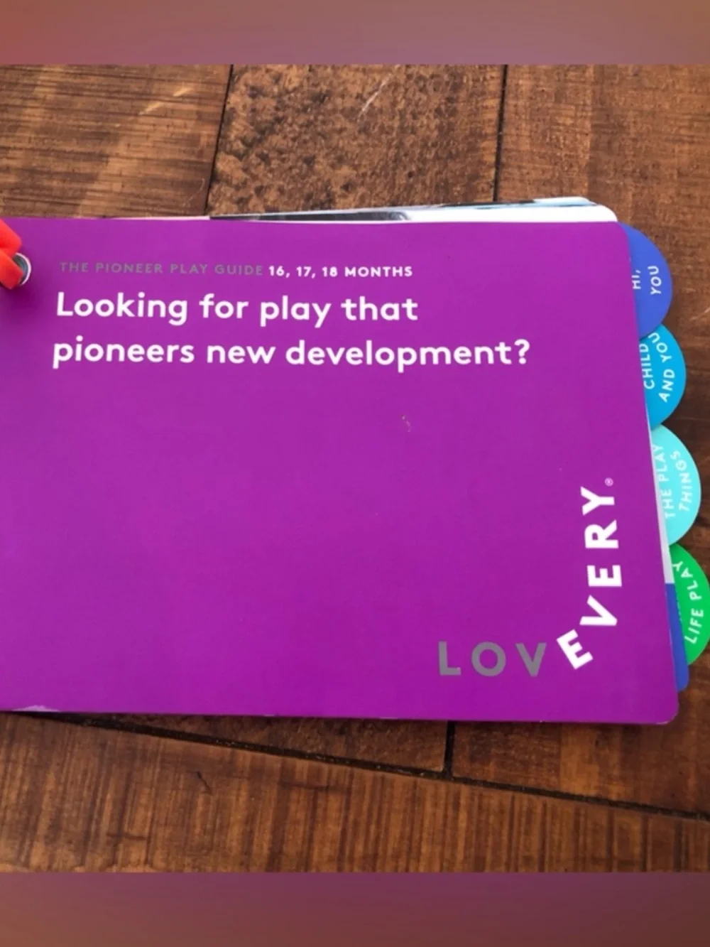 LOVEVERY bug play kit
