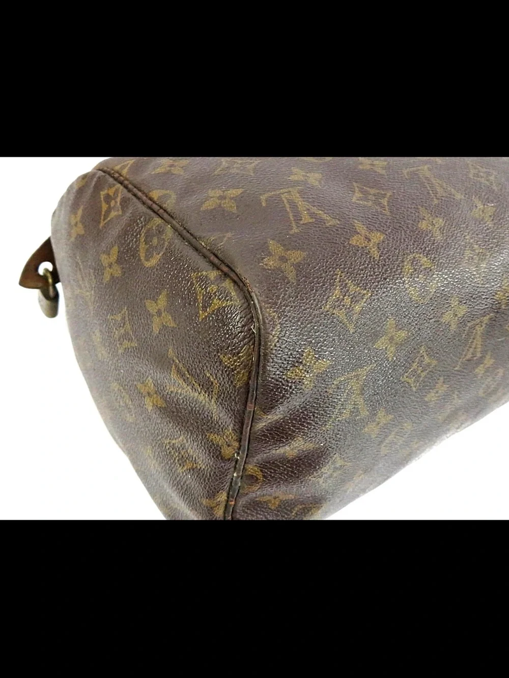Louis Vuitton iconic louis
