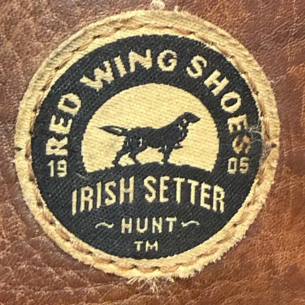 Irish Setter irish setter