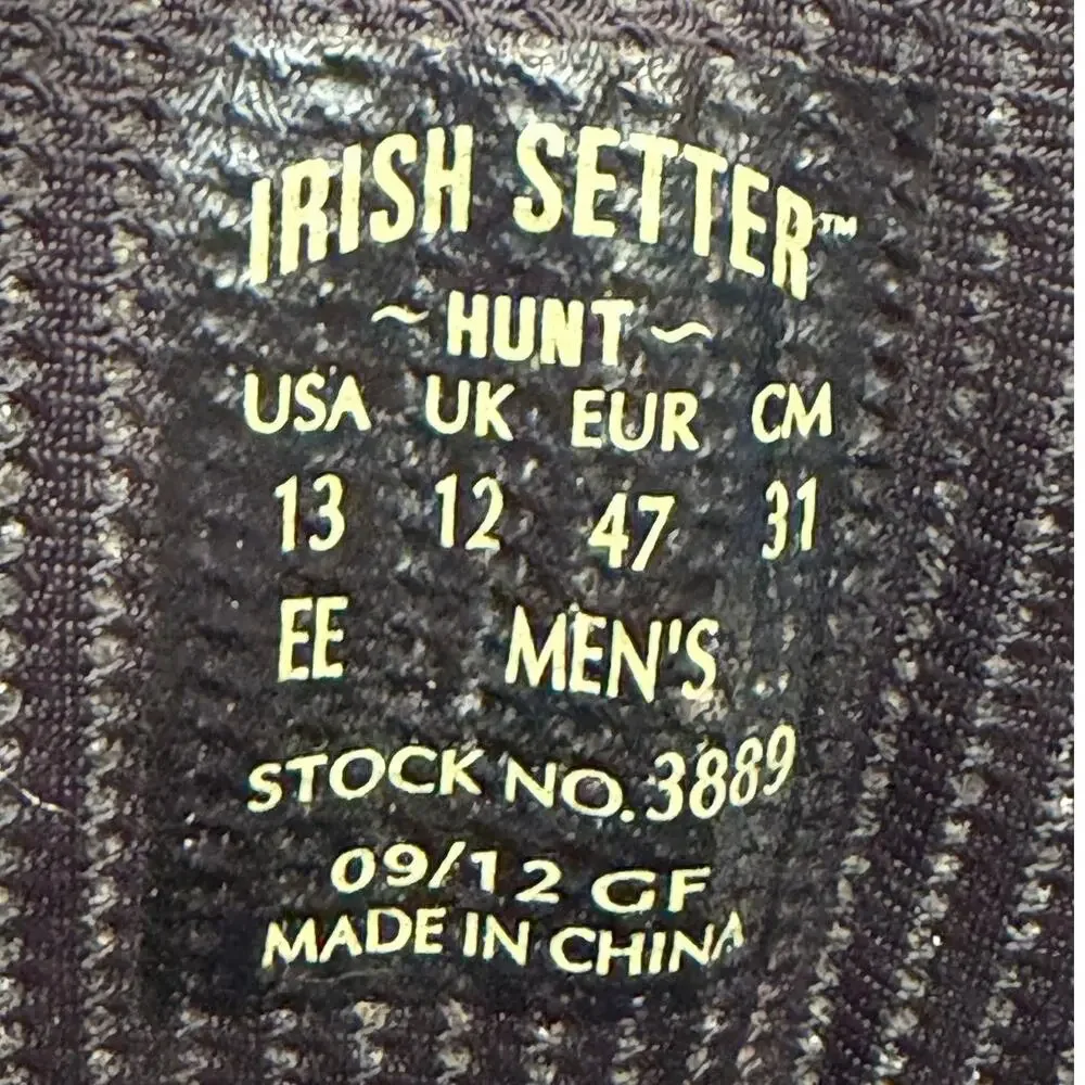Irish Setter irish setter