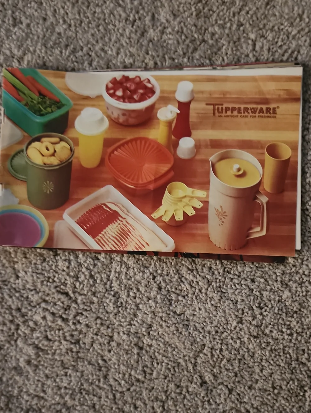 VTG 1973 Tupperware Product Catalog Brochure Retro Home Party Ephemera  Descript
