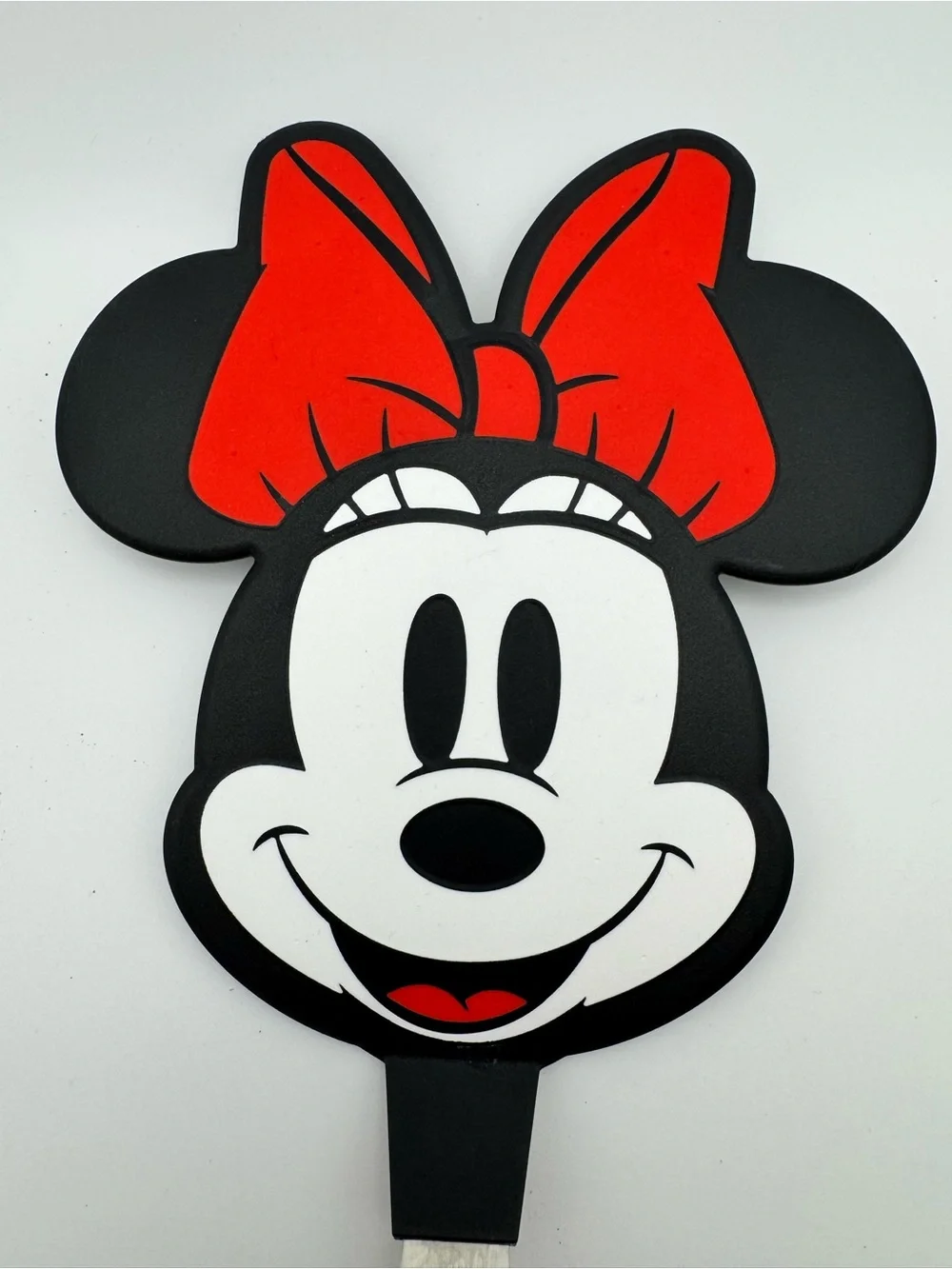 Disney fans fun