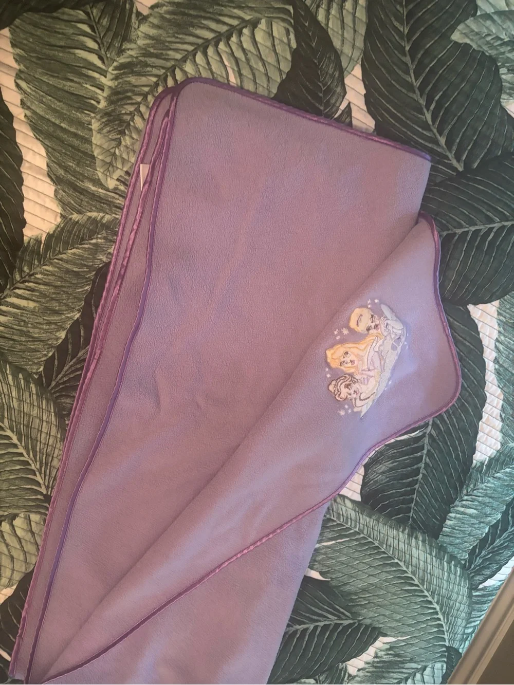 Disney embroidered princess