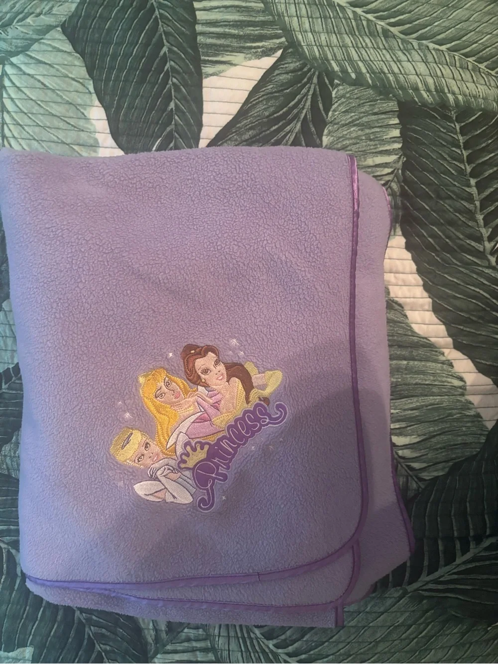 Disney embroidered princess