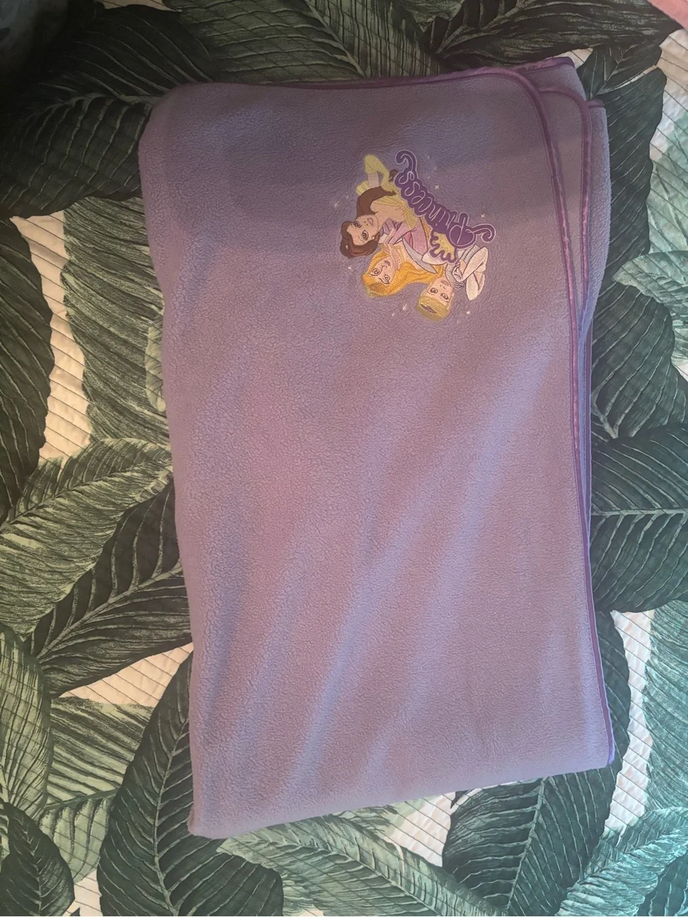 Disney embroidered princess