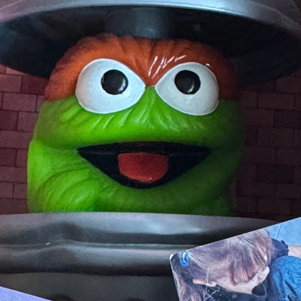 Sesame Street picture grouch