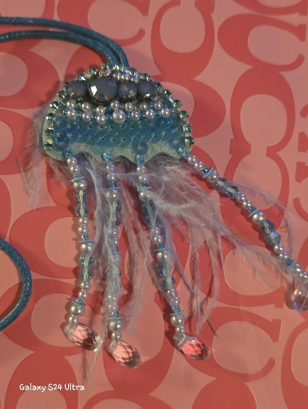 N/A photos jellyfish