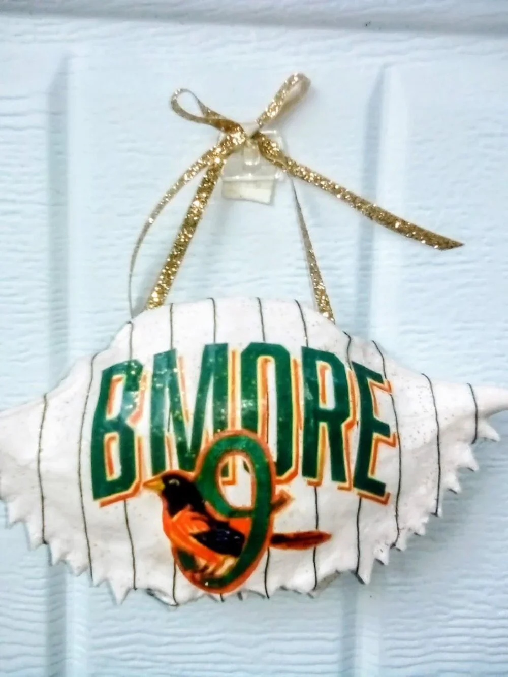 Baltimore Oriole 