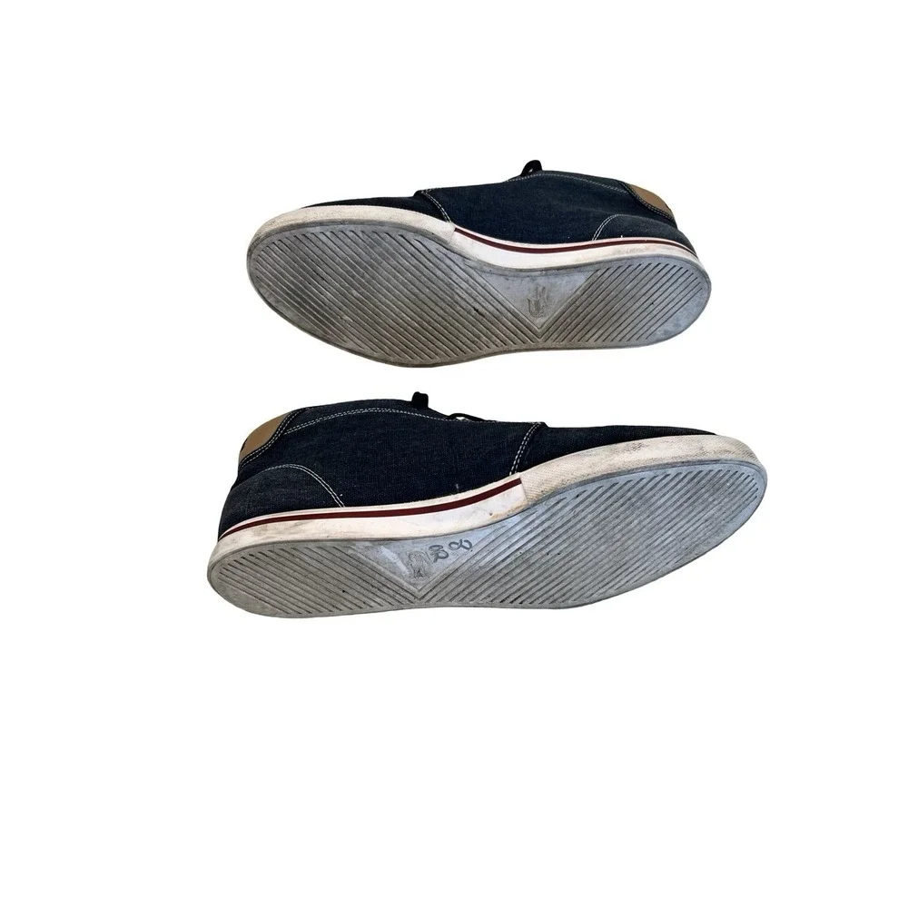 Lacoste ampthill cs