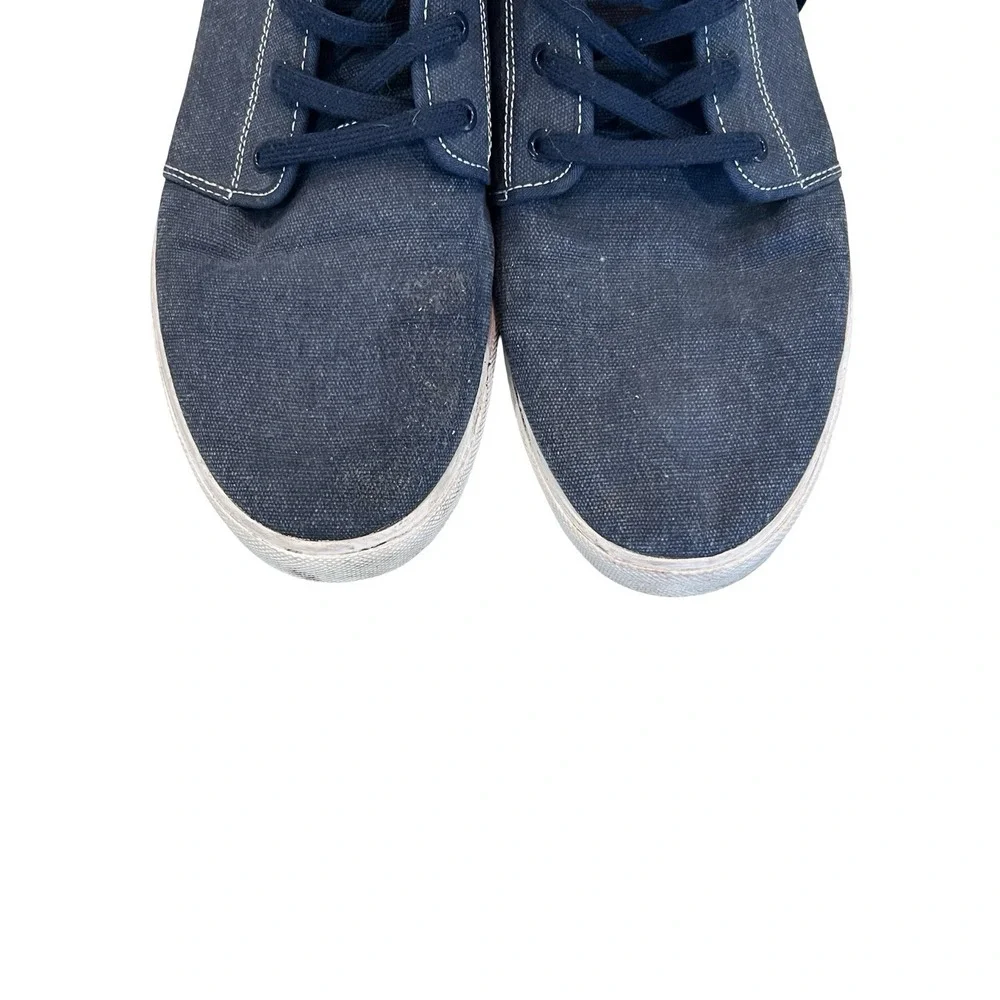 Lacoste ampthill cs