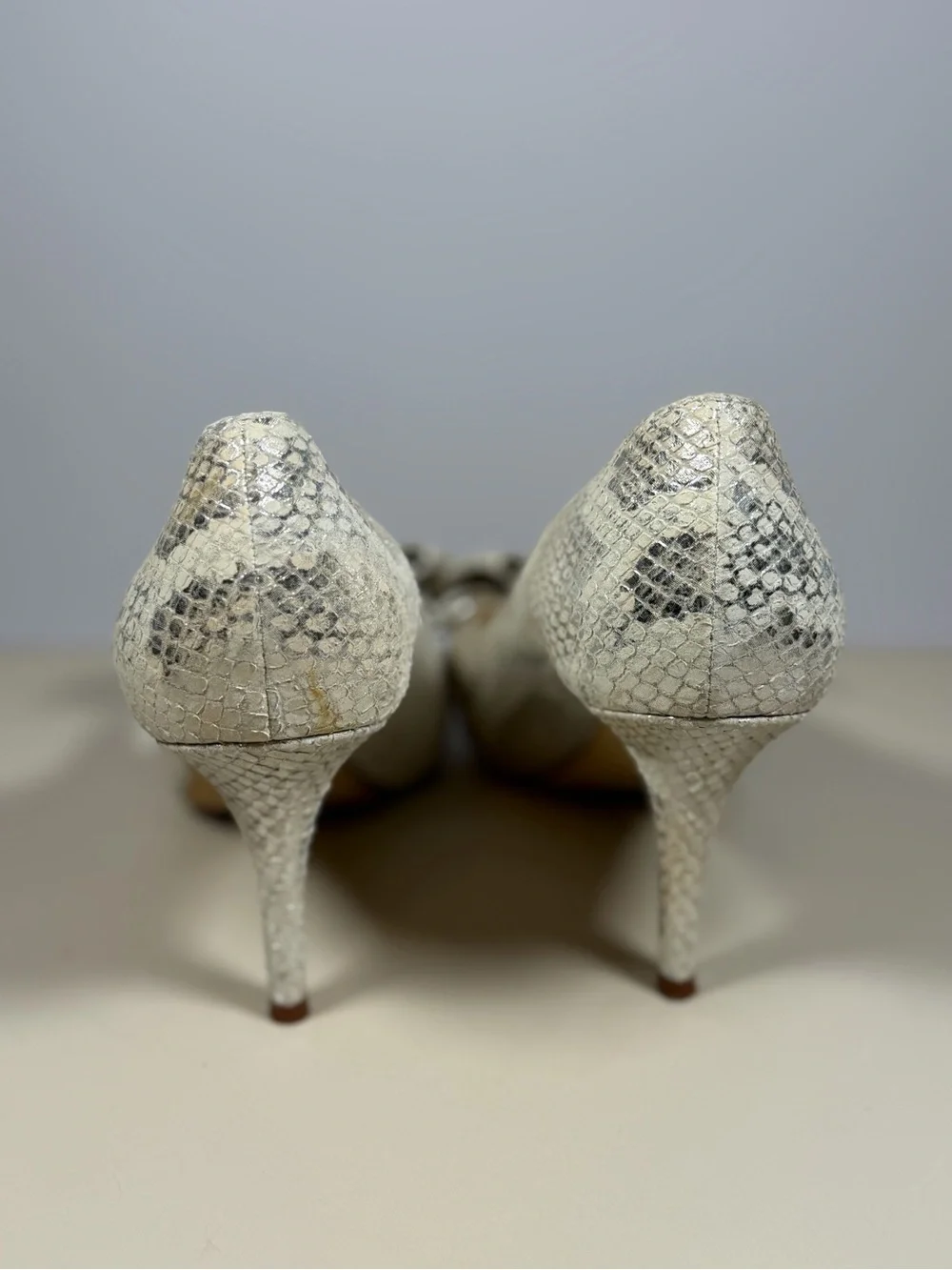 kate spade chic snake
