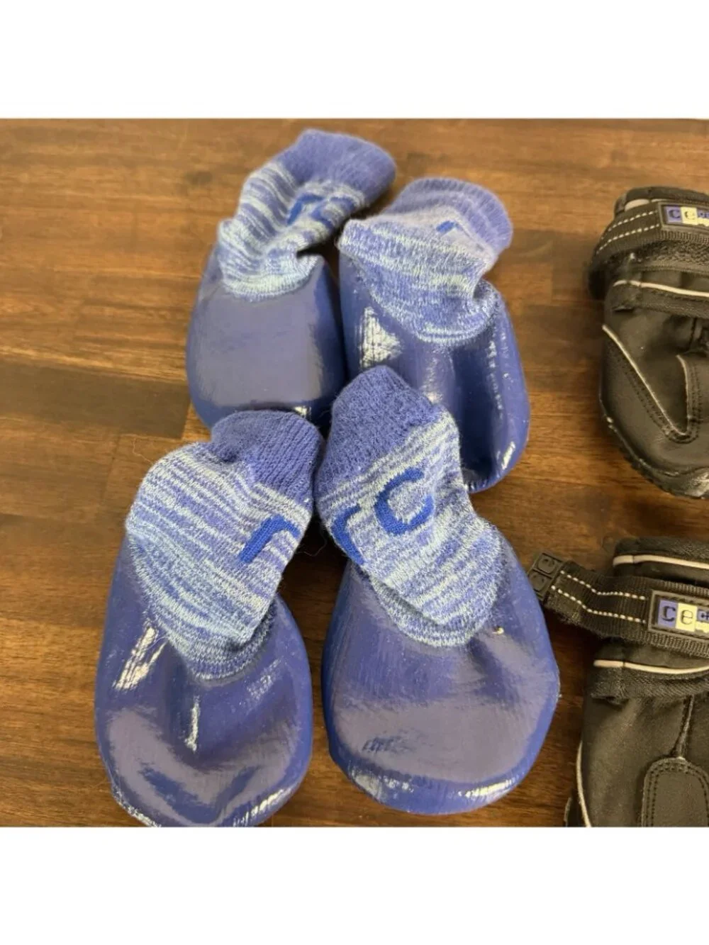 Canine Equipment dog shoes