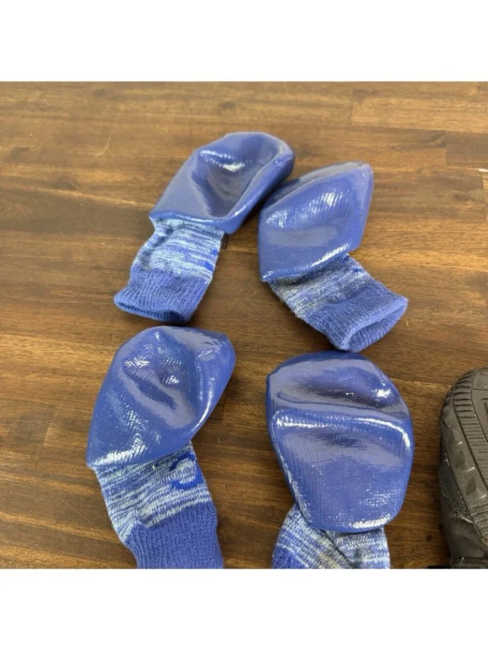 Canine Equipment dog shoes