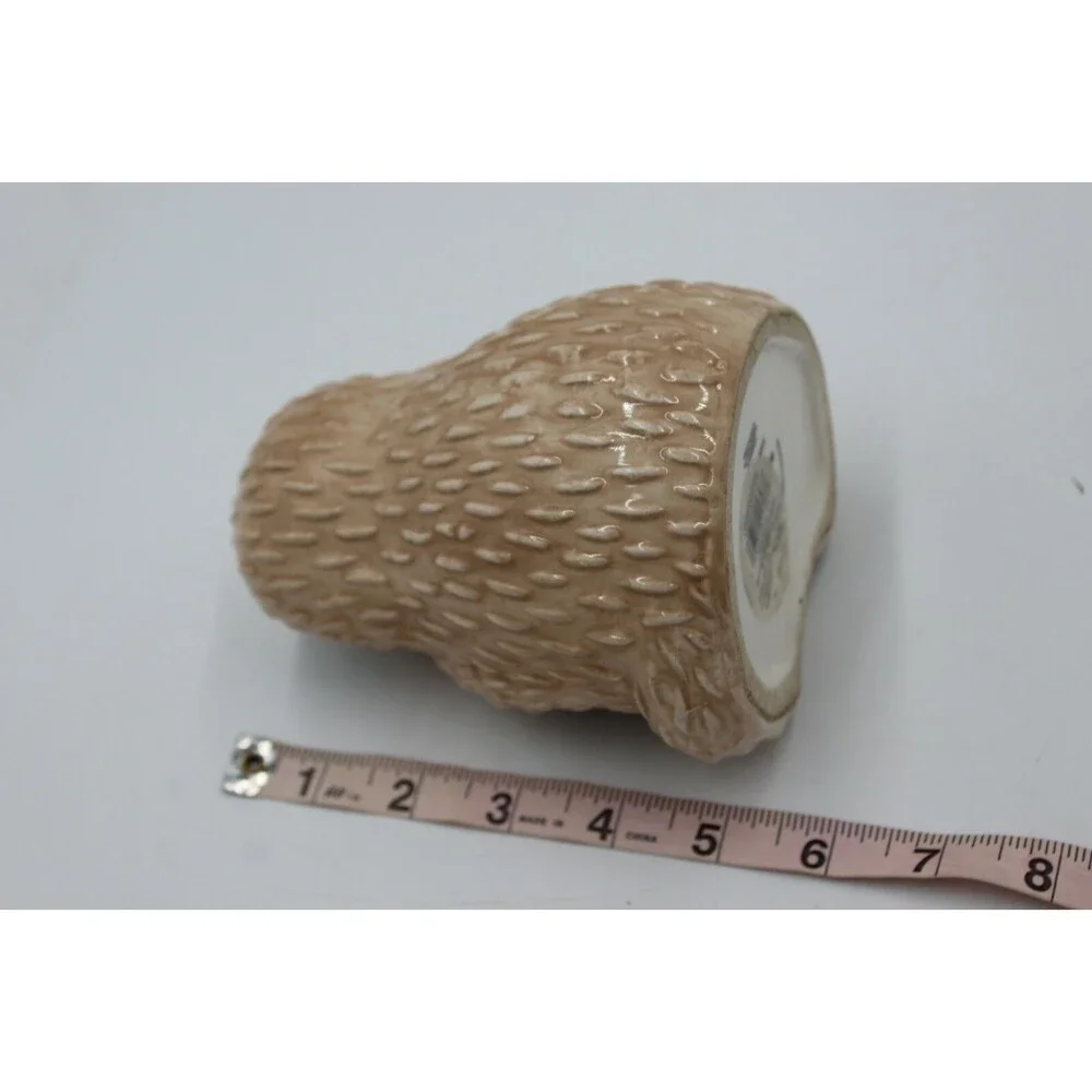 BW Live Slow Sloth Salt & Pepper Shakers Mug Sponge Holder Lot of 4 pcs Cute Set