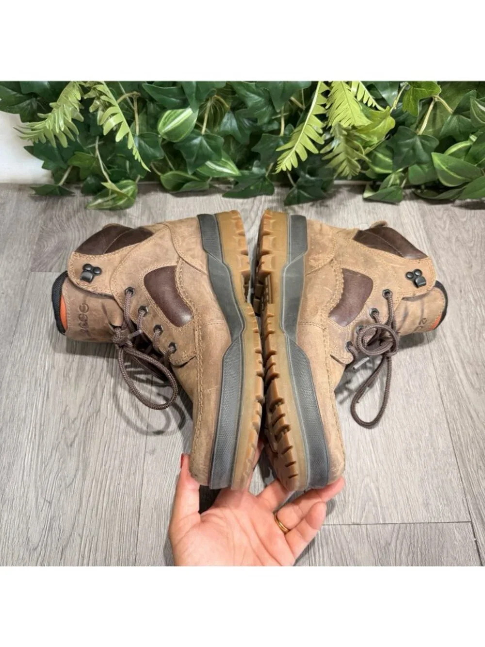 Ecco item my