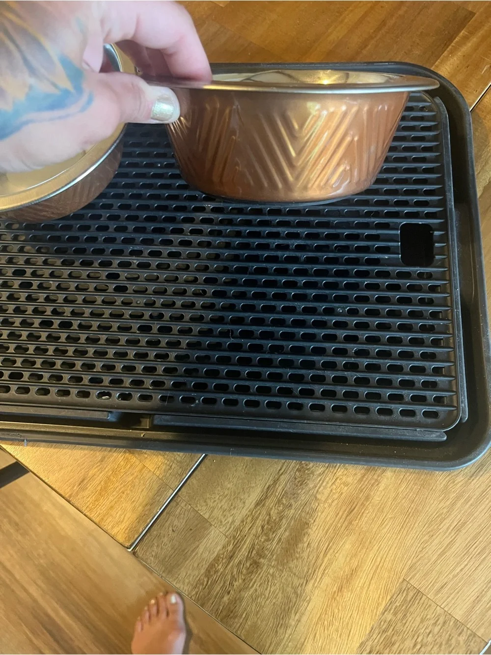 Stainless Steel Pet Feeding Bowls - Copper Exterior (Set of 2)