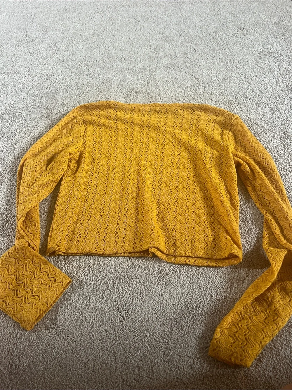 Zara Mustard Textured Long-Sleeve Crop Top
