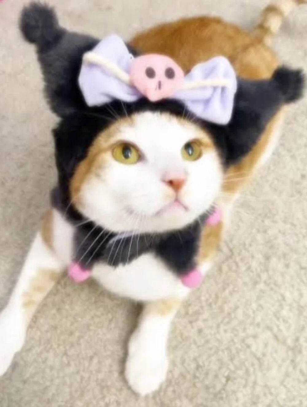 Sanrio miniso kuromi