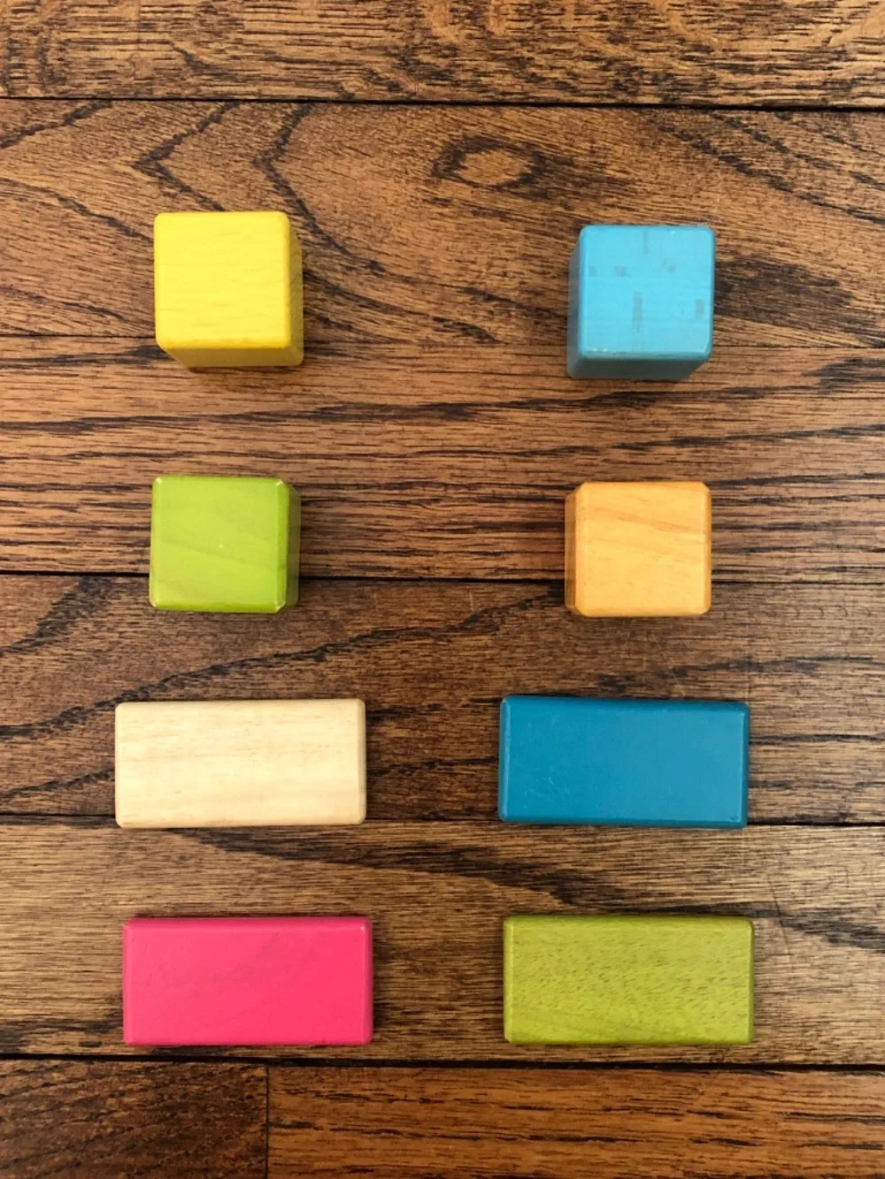 Tegu original pocket