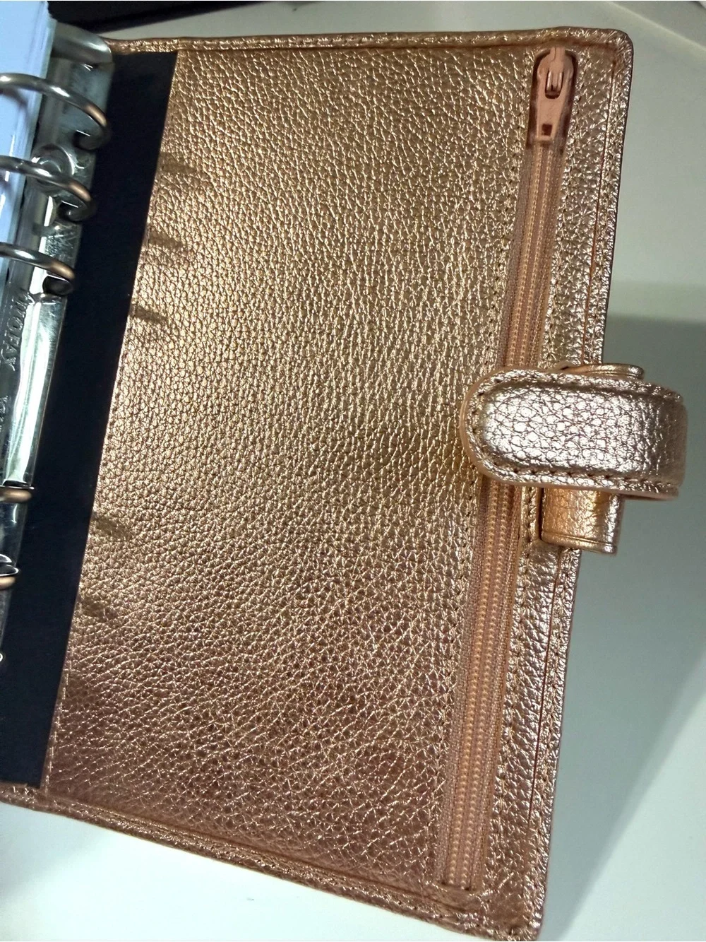filoFAX sleek metallic
