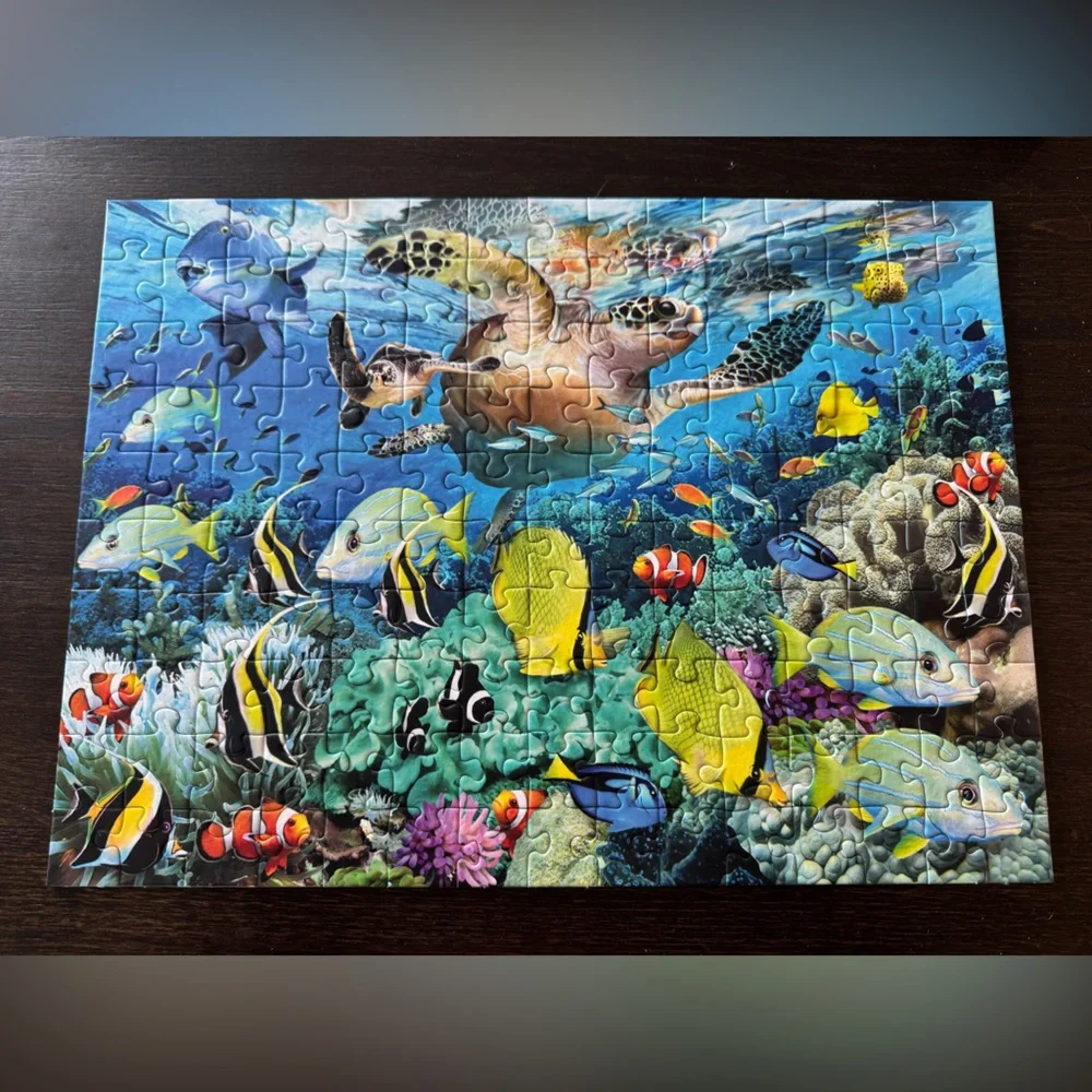 Ravensburger explore vivid