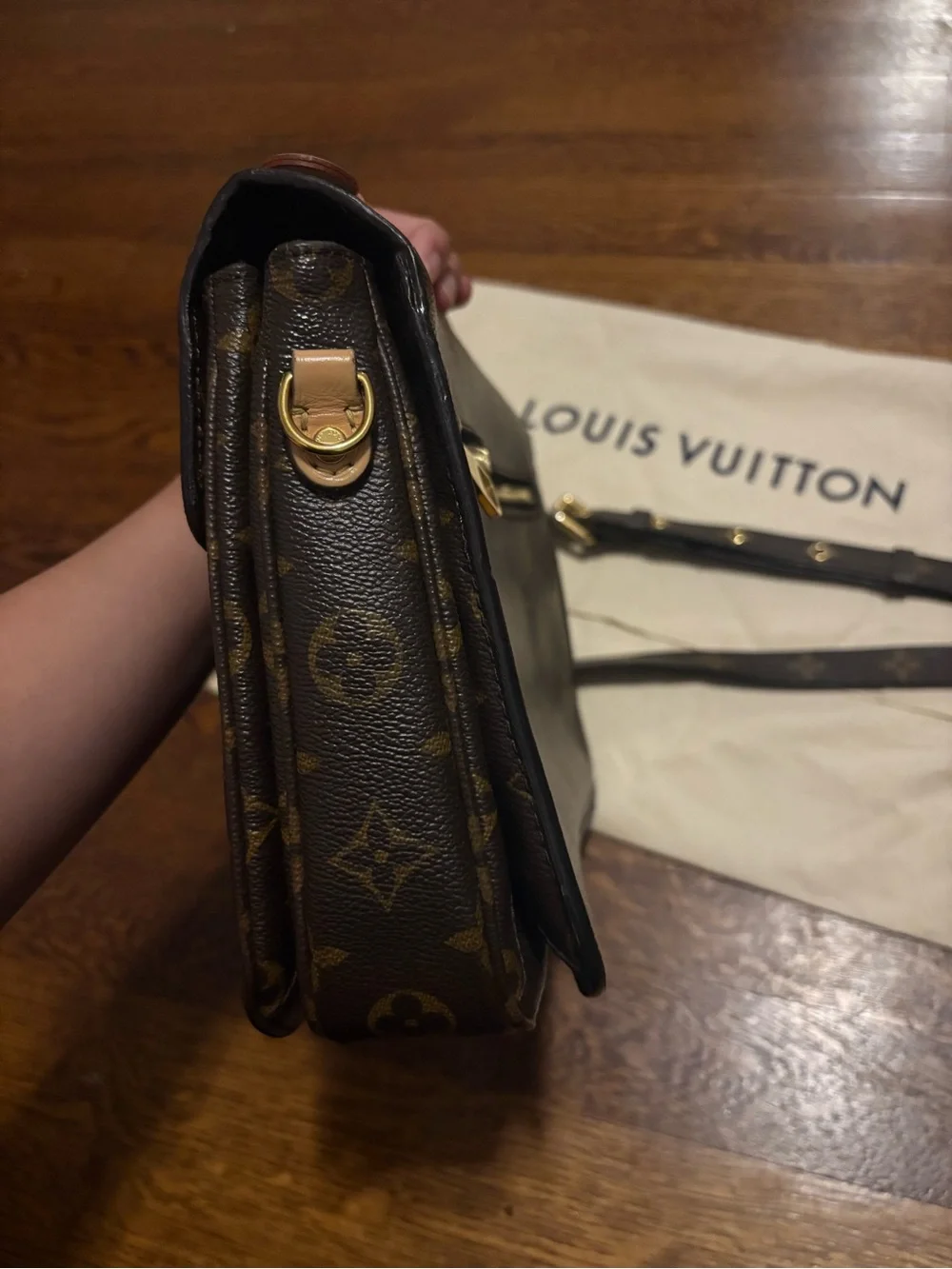 Louis Vuitton classic louis
