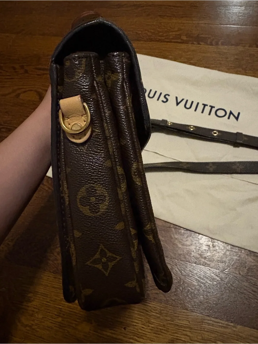 Louis Vuitton classic louis
