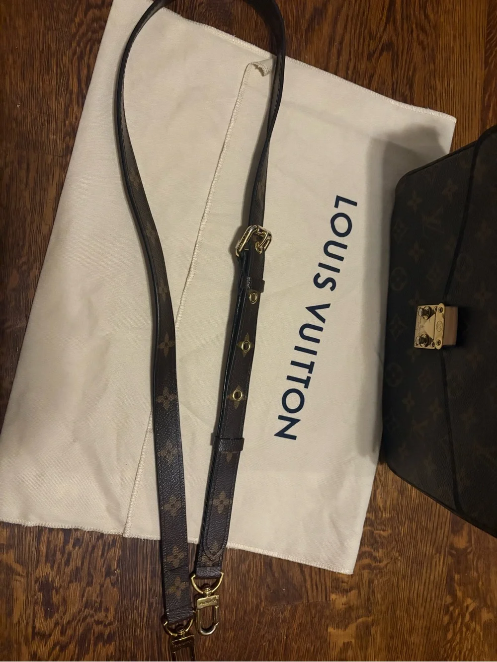 Louis Vuitton classic louis