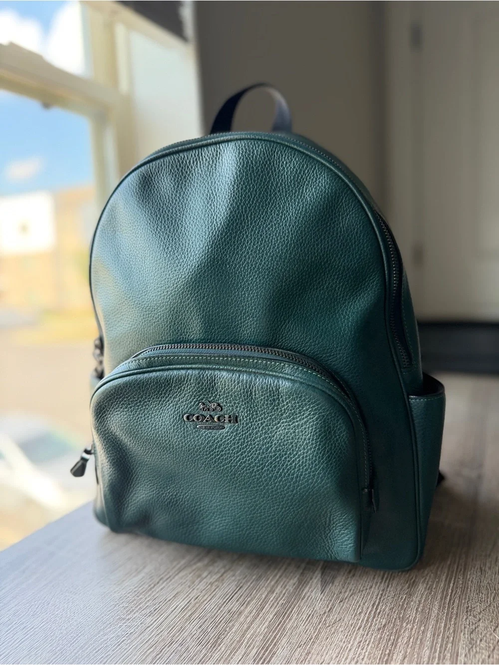 Coach New York Pebbled Leather Backpack in green