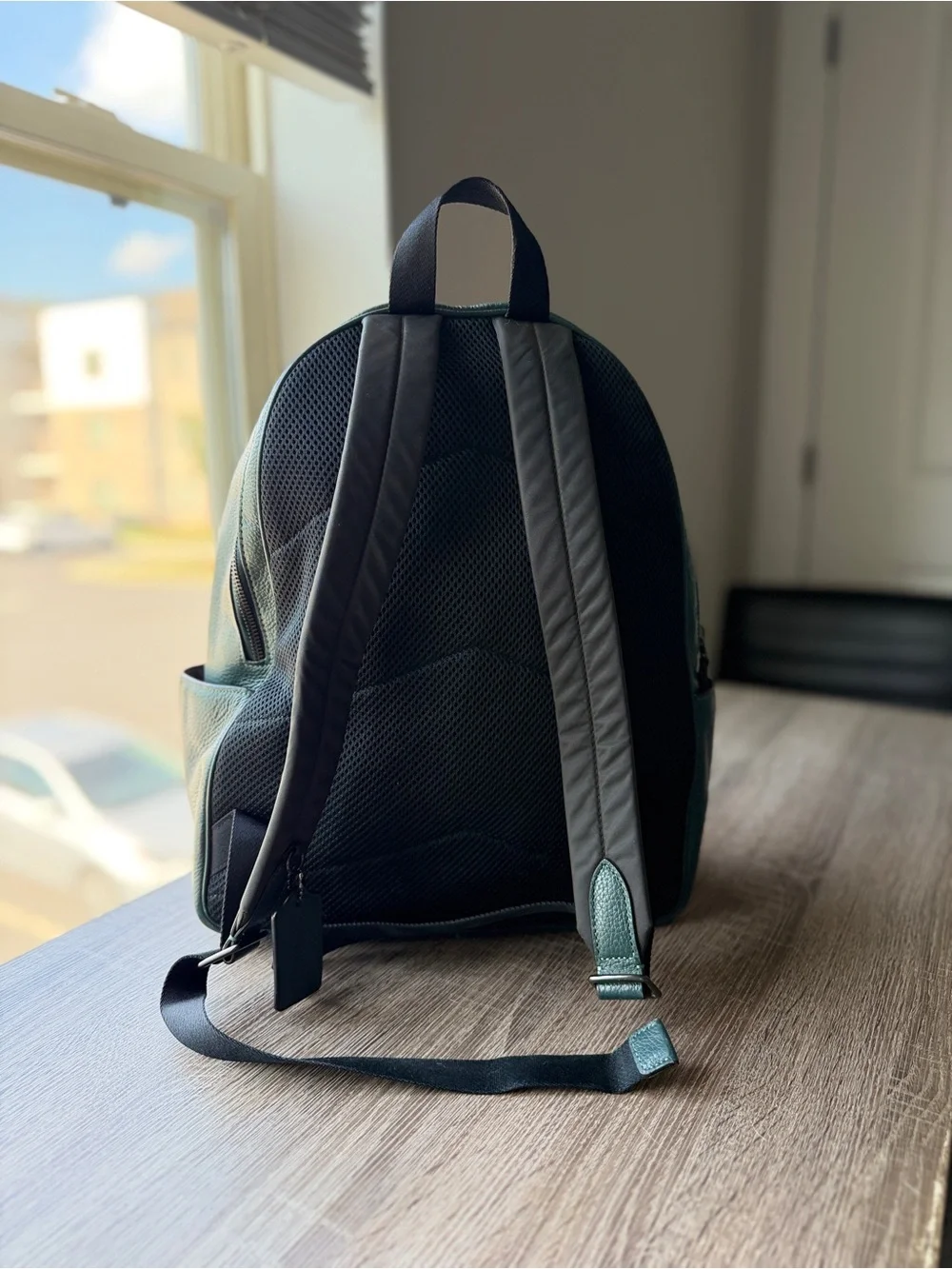 Coach features spacious