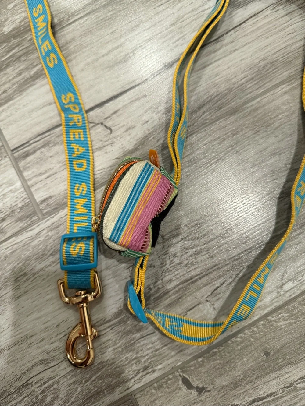 Cuddle Collab Hands Free Dog Leash