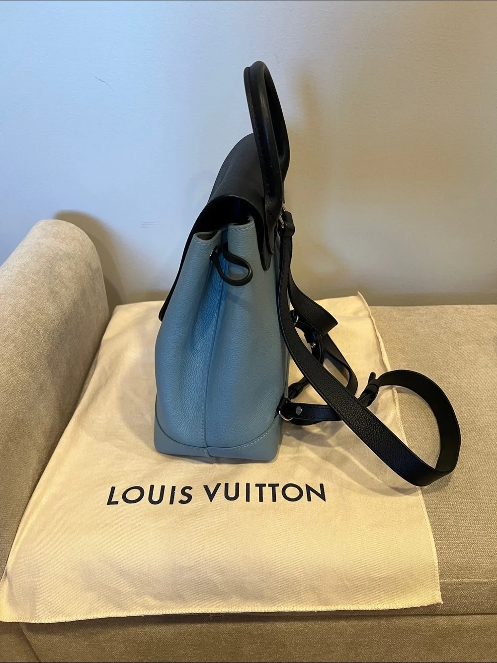 Louis Vuitton single clean louis